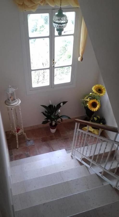 Il Girasole ...At Andorus' House Bed and Breakfast Erli Esterno foto